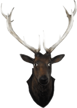 Hirschköpfe