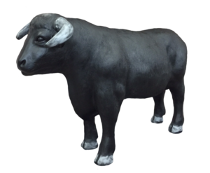 Block-House Stier